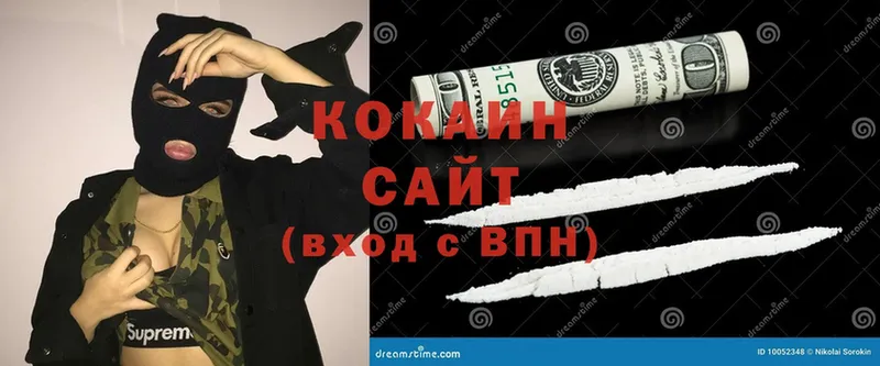 где купить наркотик  Дальнегорск  COCAIN Эквадор 